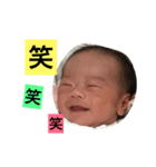 さかた家の愉快な仲間たち（個別スタンプ：15）