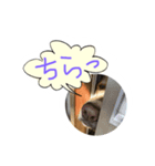 らぶ・ライト（個別スタンプ：1）