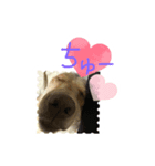 らぶ・ライト（個別スタンプ：3）