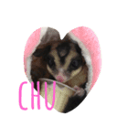 愉快な愛動物（個別スタンプ：8）