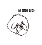 Special Bichon（個別スタンプ：5）