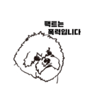Special Bichon（個別スタンプ：6）