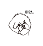 Special Bichon（個別スタンプ：8）