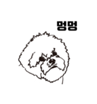 Special Bichon（個別スタンプ：10）