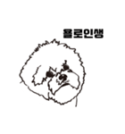 Special Bichon（個別スタンプ：11）