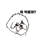 Special Bichon（個別スタンプ：17）