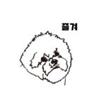 Special Bichon（個別スタンプ：19）