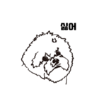 Special Bichon（個別スタンプ：22）