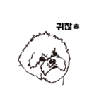 Special Bichon（個別スタンプ：26）