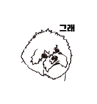 Special Bichon（個別スタンプ：32）