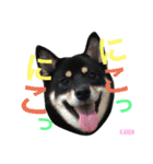 しば犬。ももかれそらさん。（個別スタンプ：1）