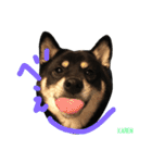 しば犬。ももかれそらさん。（個別スタンプ：4）