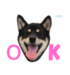 しば犬。ももかれそらさん。（個別スタンプ：10）