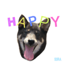 しば犬。ももかれそらさん。（個別スタンプ：15）