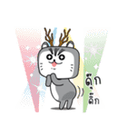 Crazy Cat ＆ Fat Rabbit : Greeting（個別スタンプ：5）