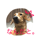 きり スタ（個別スタンプ：1）
