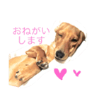きり スタ（個別スタンプ：2）