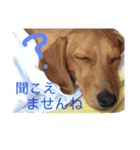 きり スタ（個別スタンプ：3）