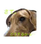 きり スタ（個別スタンプ：4）