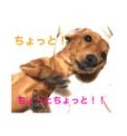 きり スタ（個別スタンプ：6）