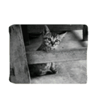 I AM KUCING（個別スタンプ：1）