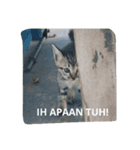 I AM KUCING（個別スタンプ：5）