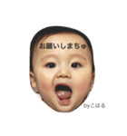 こはる2（個別スタンプ：1）