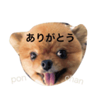 こはる2（個別スタンプ：4）