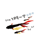 金魚のミネさん。（個別スタンプ：3）