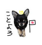 Lucky＆Dream3（個別スタンプ：2）