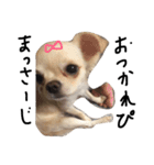 Lucky＆Dream3（個別スタンプ：5）