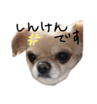 Lucky＆Dream3（個別スタンプ：8）