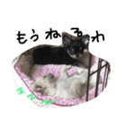 Lucky＆Dream3（個別スタンプ：9）