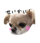 Lucky＆Dream3（個別スタンプ：14）