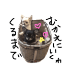 Lucky＆Dream3（個別スタンプ：17）