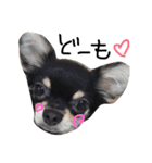 Lucky＆Dream3（個別スタンプ：22）