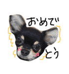 Lucky＆Dream3（個別スタンプ：23）