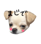 Lucky＆Dream3（個別スタンプ：26）