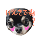 Lucky＆Dream3（個別スタンプ：30）
