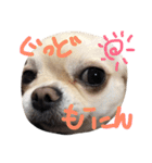 Lucky＆Dream3（個別スタンプ：32）
