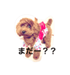 りぶちゃん（個別スタンプ：1）