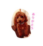 りぶちゃん（個別スタンプ：5）