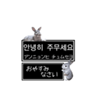 簡単会話な韓国語スタンプ with.つみれさん（個別スタンプ：2）