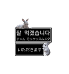 簡単会話な韓国語スタンプ with.つみれさん（個別スタンプ：7）