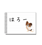 パピヨンのはなちゃん メモ帳ver.（個別スタンプ：2）
