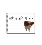パピヨンのはなちゃん メモ帳ver.（個別スタンプ：17）