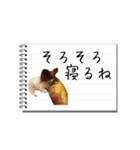 パピヨンのはなちゃん メモ帳ver.（個別スタンプ：18）