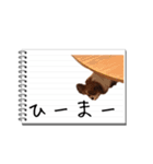 パピヨンのはなちゃん メモ帳ver.（個別スタンプ：21）