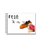 パピヨンのはなちゃん メモ帳ver.（個別スタンプ：24）