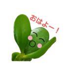 ぷにぷにはっぱスタンプ（個別スタンプ：1）